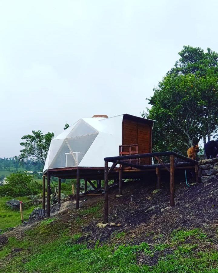 Luxury tent Glamping Astrodome En